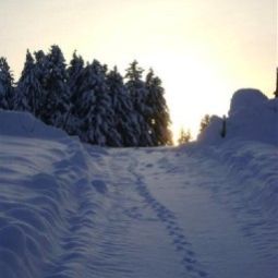  Bauernhof Berghof Vöglerbrand Fotos