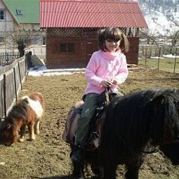House with ponies Moeciu de Jos Brasov