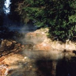 Ogród SPA SLIAC Fotos