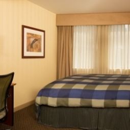Chambre CENTRAL LOOP HOTEL Fotos