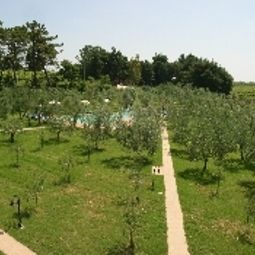 Jardín Villa Nottola Fotos