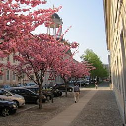 Фасад Am Großen Waisenhaus Fotos