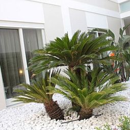 Giardino Soglow Business Class Aparthotel Fotos