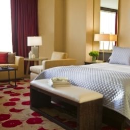 Habitación PALOMAR CHICAGO KIMPTON Fotos