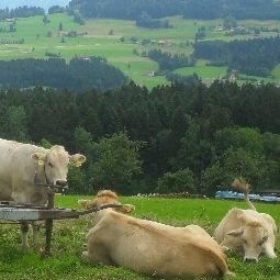 Umgebung Alpina Fotos