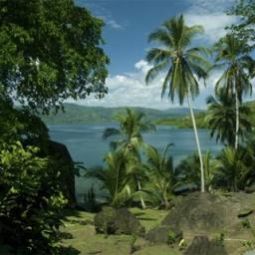 Photos des hôtels  Emerald Monkey Eco-Luxe Resort