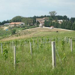 Panorama San Cristoforo Agriturismo Umbria Fotos