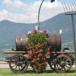 Bauernhof Agritur Pisani Brez 