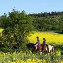 Fitness Gut Drebsdorf Fe- rien u. Reitanlage Fotos