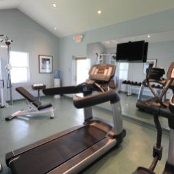 Remise en forme Cotton Tree Fotos