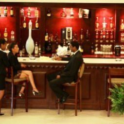 Bar Intercontinental Addis Ababa Hotel Fotos