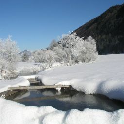 Bauernhof Komforturlaub Kohlentalmühle - Biobauernhof Schwendt 