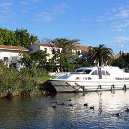 Ambiente Canal Aigues Mortes Fotos