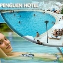 Außenansicht Penguen Fotos