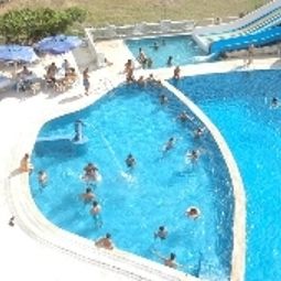 Pool Penguen Fotos