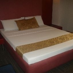 Room Eurotel Pedro Gil Fotos