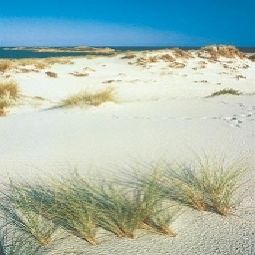 Ambiente Abitare in Vacanza Fotos