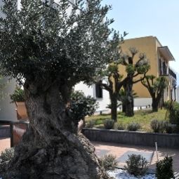 Garten Costa Hotel Fotos