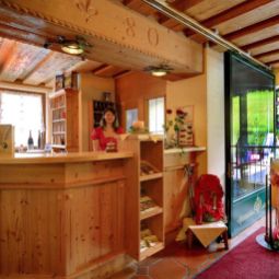  Relax- und Wanderhotel Wenger Alpenhof Fotos