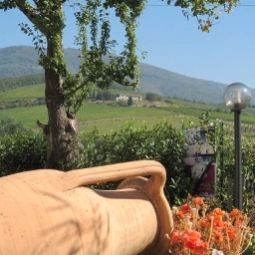 Nido Del Merlo B&B Pistoia PT