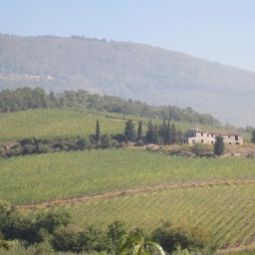 Vista esterna Nido Del Merlo B&B Fotos