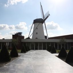 Al Mulino Maasmechelen Limburg
