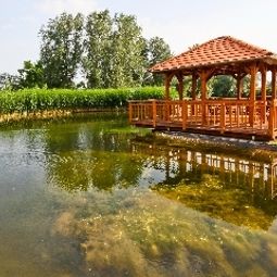 Garten Vis VitalisMedical Wellness Hotel**** Fotos