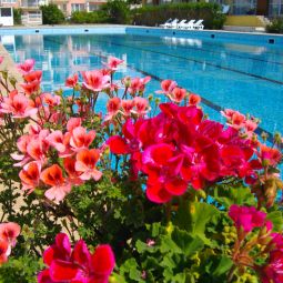 Pool Sunshine Pearl Fotos
