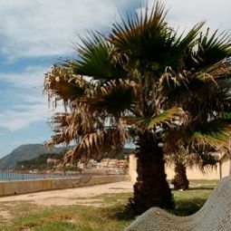 Ambiente Le Poseidon Fotos