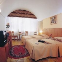 Foto dell’hotel Parsian Yazd Hotel