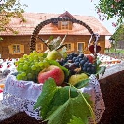 Heart of Nature Rural household Ribnik Karlovacka