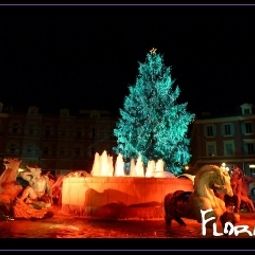  Des Flandres Fotos
