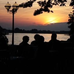 Vue Baumberger Rheinterassen Fotos