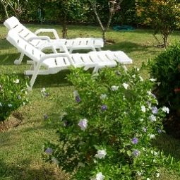 Garden Manora-Garden Fotos