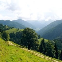 Hotelfotos Bauernhof Planken-Hütte