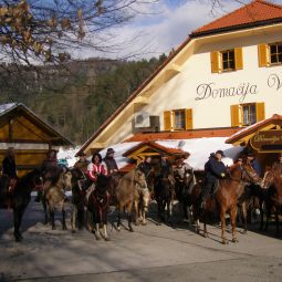 Hotelfotos Domačija Vodnik Adergas 27