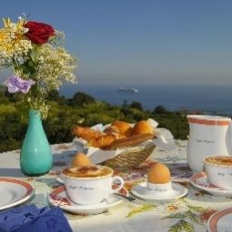 Poggio Aragosta Hotel & Spa Casamicciola Terme Ischia