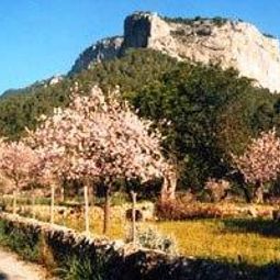 Agroturismo Son Penyaflor Alaró 