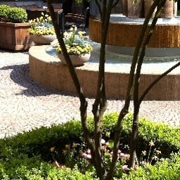 Garden Mercure Hotel Atrium Braunschweig Fotos