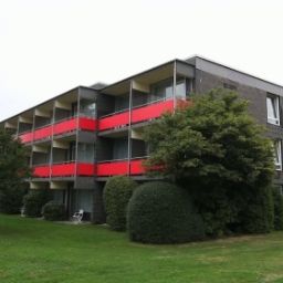  RAMADA Bären Fotos