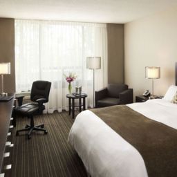 Chambre Delta Toronto Airport West Fotos