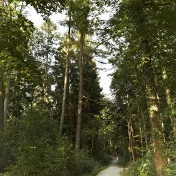 Umgebung Waldhotel Fotos