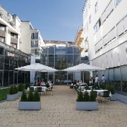 Terrasse Grauer Bär Fotos