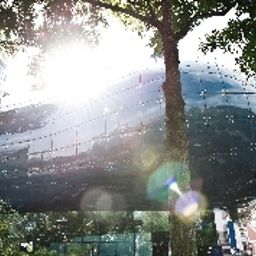 Otoczenie Das Weitzer Fotos