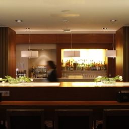 Bar Crowne Plaza PARIS-RÉPUBLIQUE Fotos