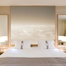 Best Western Plus Paris Orly Airport Rungis