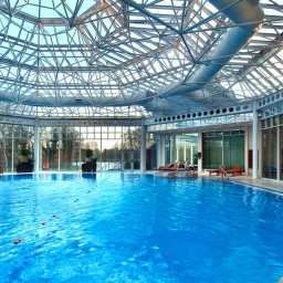 Pool Hilton Birmingham Metropole hotel Fotos