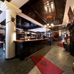 Halle Centrum Ahl Meerkatzen Fotos