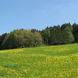Vista Schwarzwald-Hotel Silberkönig Ringhotel Bleibach Fotos