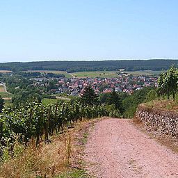  Zum Freigericht Fotos